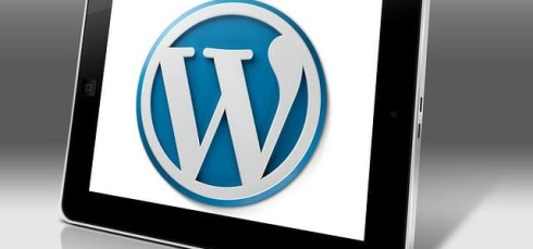 מערכת וורדפרס חוגגת 10 שנים